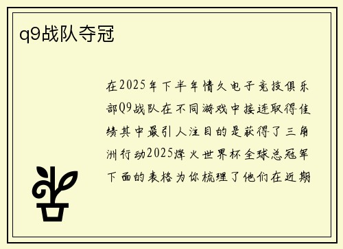 q9战队夺冠